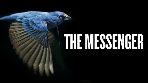 The Messenger